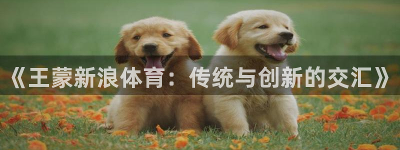 竞彩赛事资料