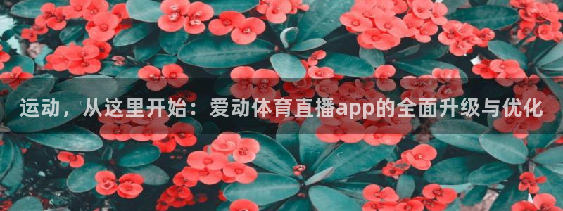 500官方彩票平台