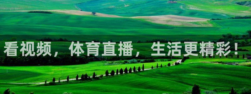 足彩开奖查询