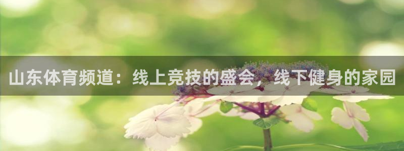 500彩票网