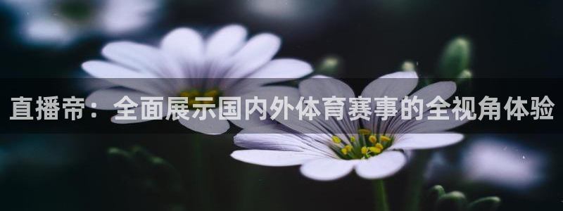 彩票开奖查询,