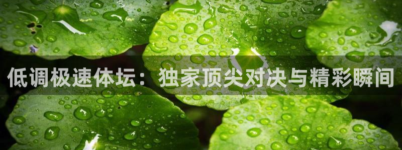 足彩开奖查询