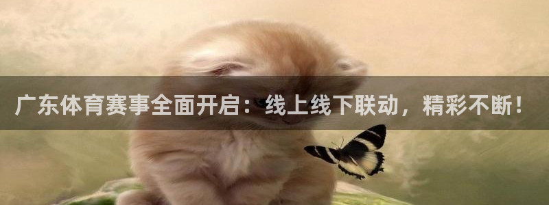 500彩票,