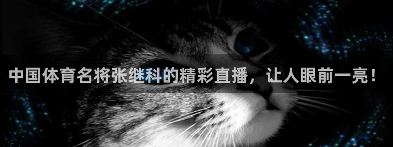竞彩赛事资料